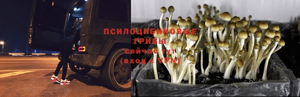 ALPHA-PVP Богородск