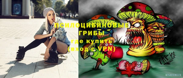 синтетический гашиш Богородицк