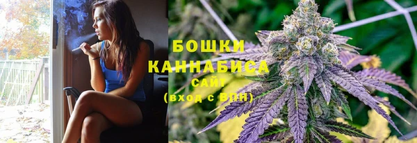 спайс Богданович