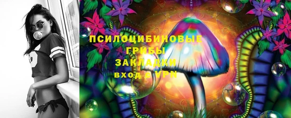 PSILOCYBIN Пересвет