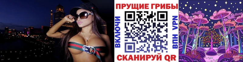 нарко площадка официальный сайт  Томмот  Псилоцибиновые грибы GOLDEN TEACHER  блэк спрут как войти 