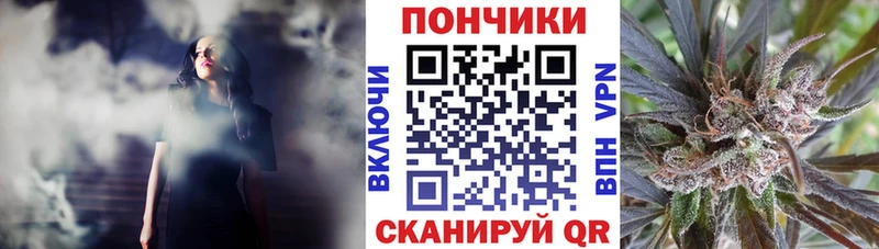 Бошки марихуана гибрид  где можно купить наркотик  Томмот 
